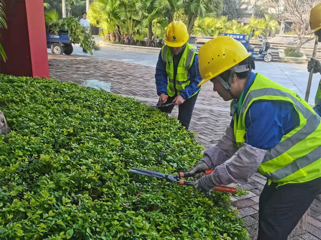 欢迎访问十大电子网址工人修剪灌丛