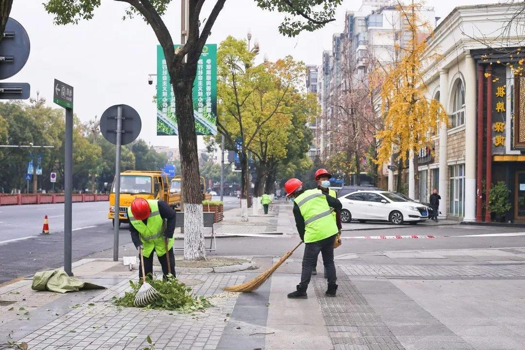 冬季园林绿化养护清理落叶